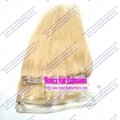 Clip in Hair Extensions 2