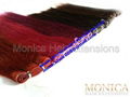 Skin Weft Hair Extensions