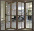 Aluminum Folding Doors 1