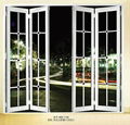 Aluminum Folding Doors 2