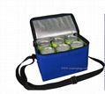 Cooler bags  1