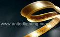 LED Strip Light