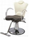 Popular and Fashionable Barber Chair