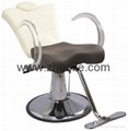 Popular and Fashionable Barber Chair 2