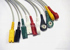 LL 5-lead leadwires