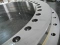 YRTS series rotary table bearing with high speeds 2