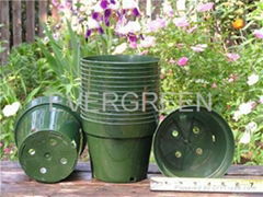 plastic flower pot