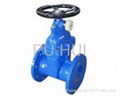 Lock the elastic base closure closed gate valve 1