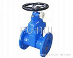 Lock the elastic base closure closed gate valve