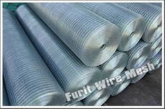 Welded Wire Mesh