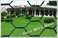 Hexagonal Wire Netting 2