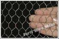 Hexagonal Wire Netting 3