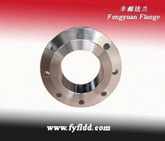 Stainless Steel Flange