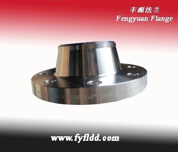 Stainless Steel Flange 3