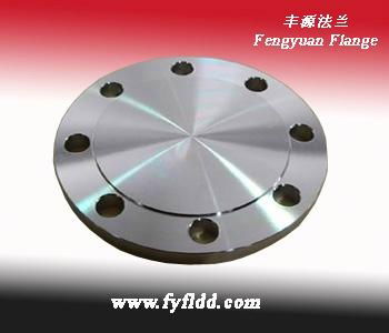 Stainless Steel Flange 4