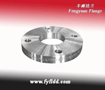 Stainless Steel Flange 5