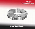 Stainless Steel Flange 5