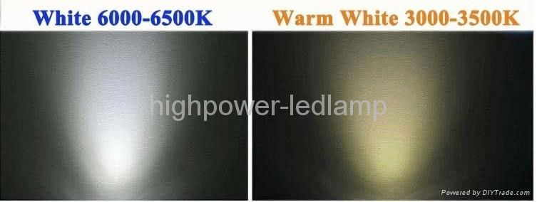  1w High Power LED Lamps 90 - 100Lm  2