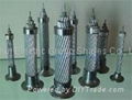 All Aluminium Alloy Conductors (AAAC)