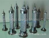 All Aluminium Alloy Conductors (AAAC)