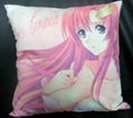 pillow 1