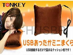 USB Heating Pillow