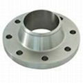 Forged Flange 4