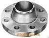 Stainless Steel Flange 2