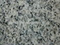 Good quality Granite stone G603