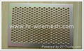 Perforated Metal Sheet