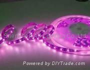 led strip