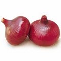 Fresh Onions  2