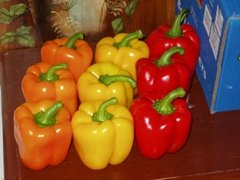 Fresh Color pepper