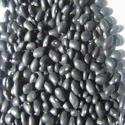 Black Kidney beans