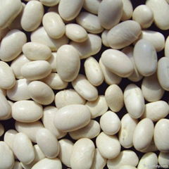 White Kidney beans