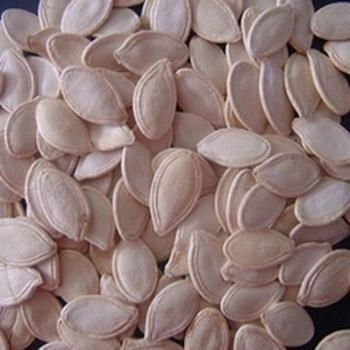 Shine Skin Pumpkin Seed,In Shell