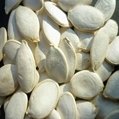 Snow White Pumpkin seeds In Shell