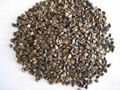 Raw Buckwheat