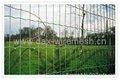 Holland Fence 3