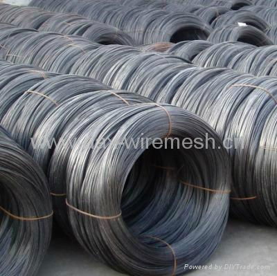 Black Annealed Wire 2