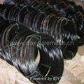 Black Annealed Wire 3