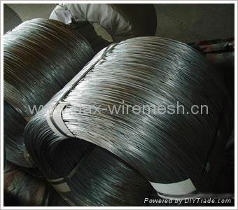 Black Annealed Wire 5