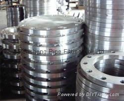 Blind Flange 4