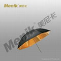 Photo Umbrella 1