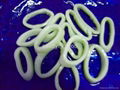 frozen squid ring 2