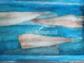 frozen pollock 1