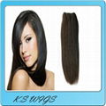 Whole sale cambodian human hair weft