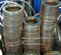 Rings for spiral wound gaskets(SUNWELL) 1