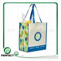 PP Non-woven Bag 1