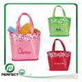 PP Non Woven Bag